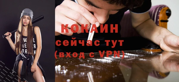 трава Бородино