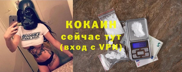 трава Бородино