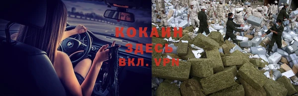 трава Бородино