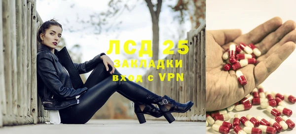 трава Бородино