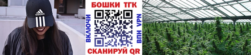 дарк нет какой сайт  Печора  Марихуана план  мега рабочий сайт 